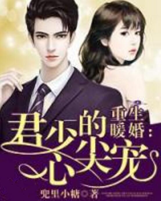 乖宝重生，司少他在线诱宠,司少的甜蜜诱惑之旅